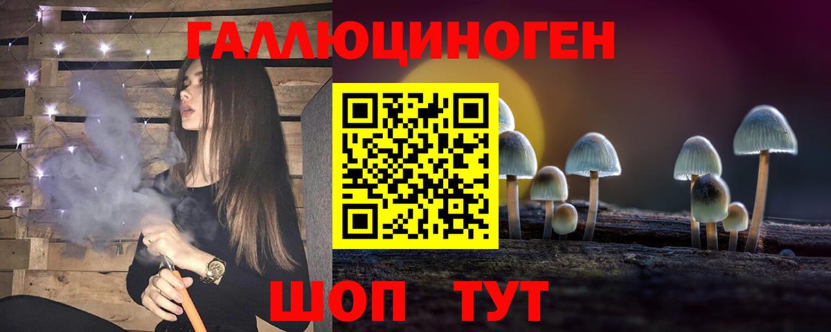 Миллерово  Псилоцибиновые грибы Cubensis  Вход с VPN 